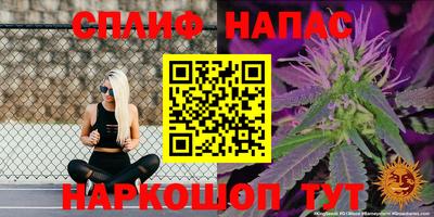 твердый Новодвинск