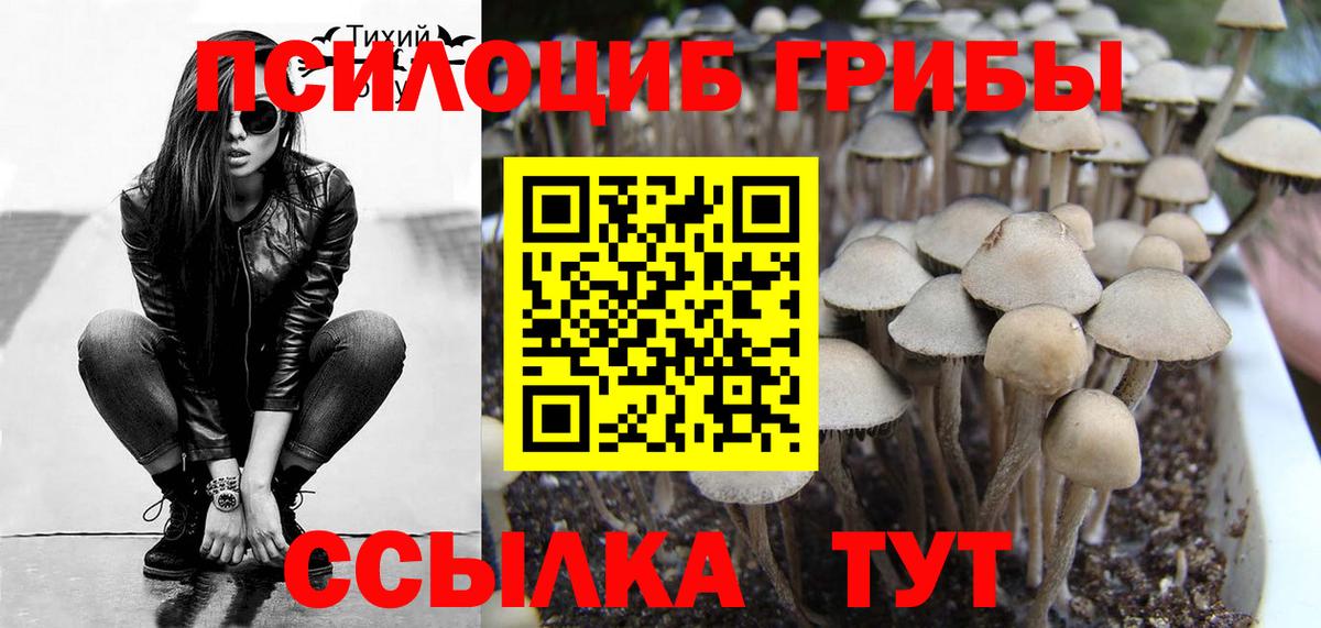 Галлюциногенные грибы Magic Shrooms Тара