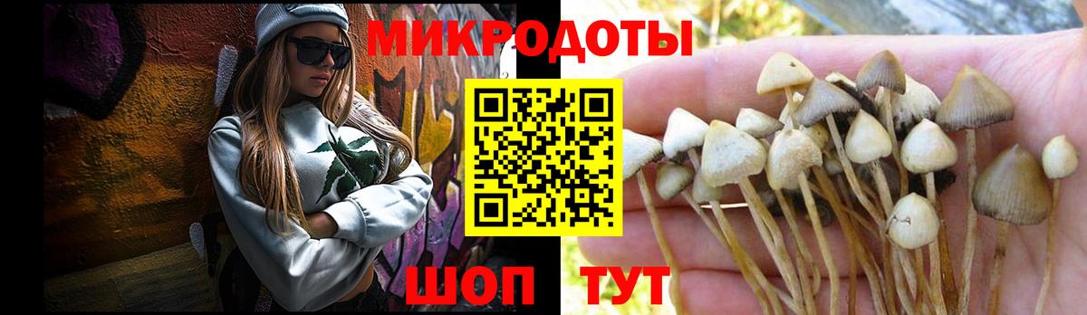 Галлюциногенные грибы Psilocybe  Галлюциногенные грибы Magic Shrooms  Тара  Вход с VPN 