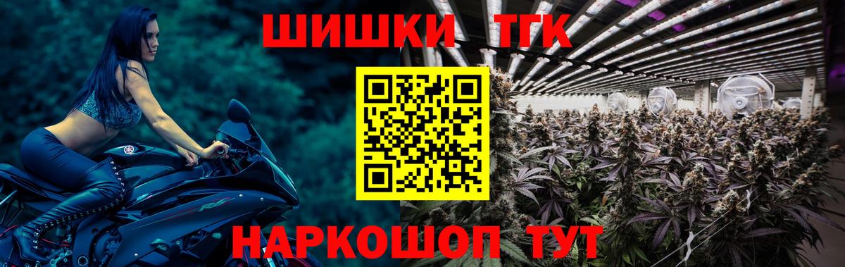 Шишки марихуана планчик Тара